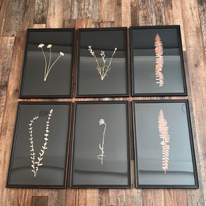 COPY - Restoration Hardware hand pressed botanicals on black linen.set of 6